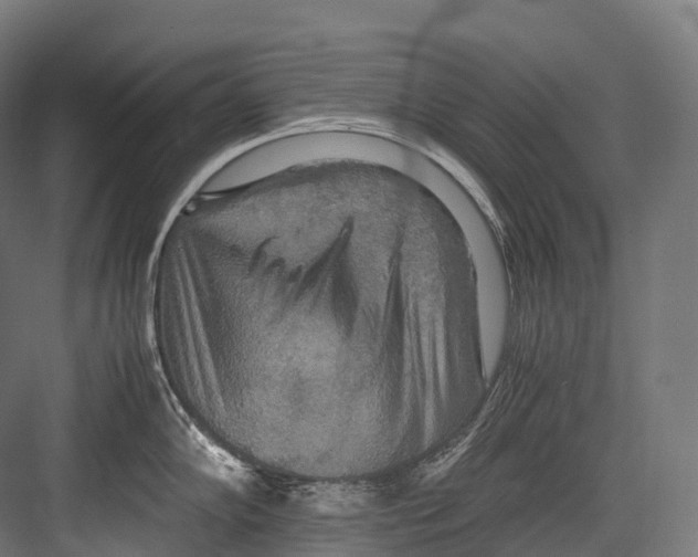 X0000081591102200702121507