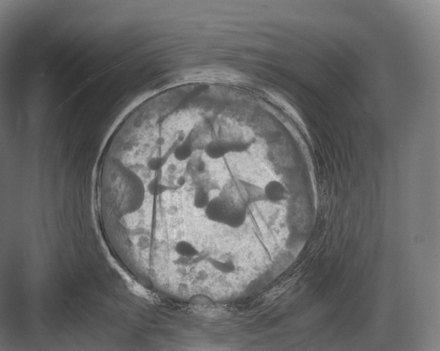 X0000081591103200702121507