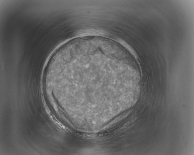 X0000081591104200702121507