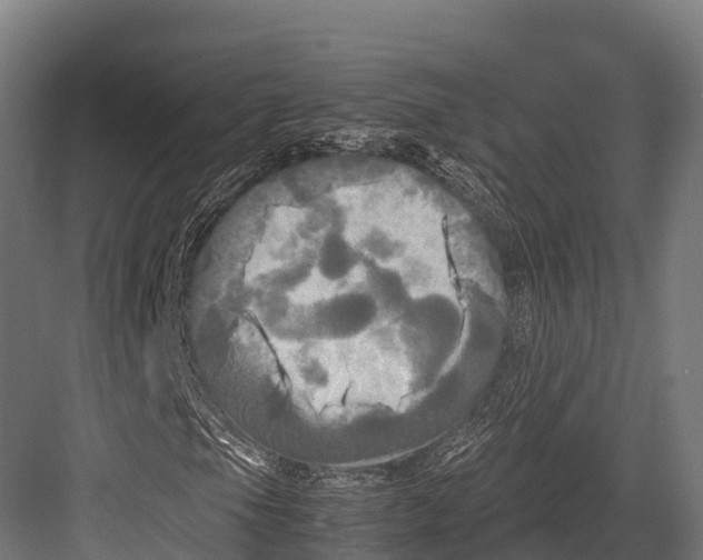 X0000081591105200702121506