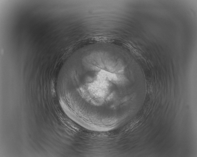 X0000081591106200702121506