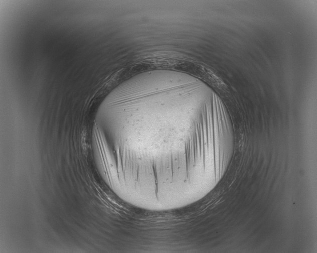 X0000081591108200702121506