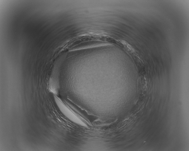 X0000081591110200702121506