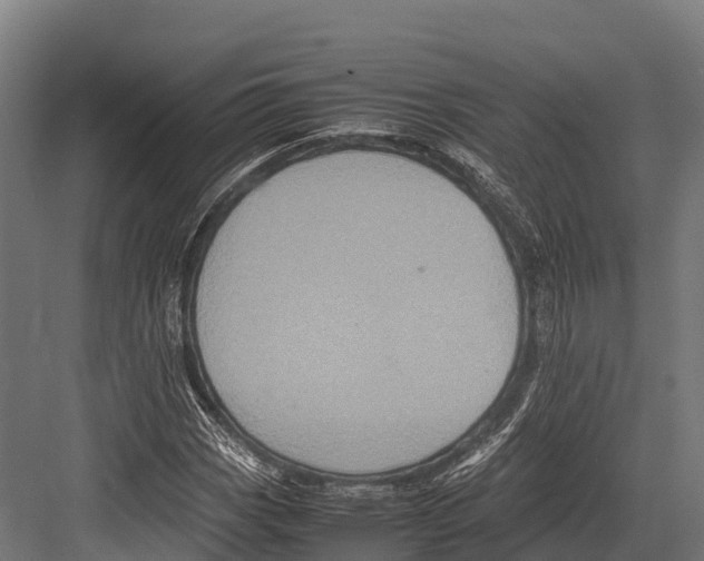 X0000081591113200702121506