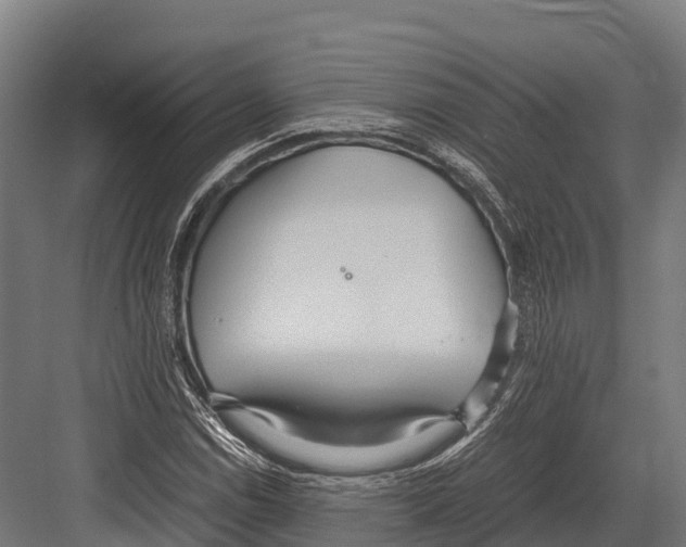 X0000081591114200702121506