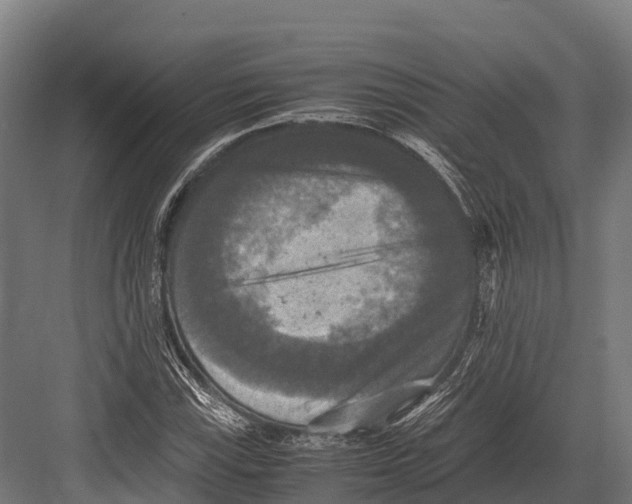 X0000081591115200702121506