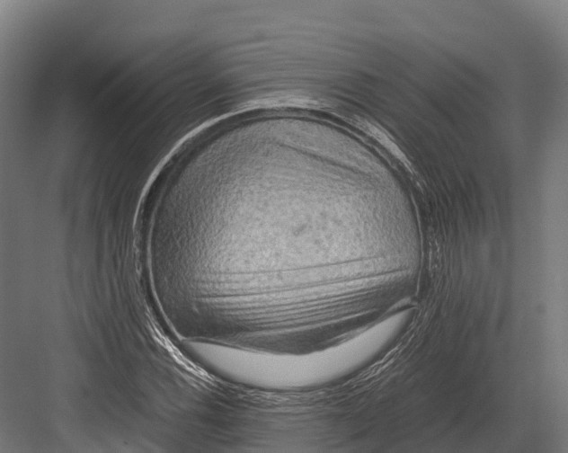 X0000081591116200702121506