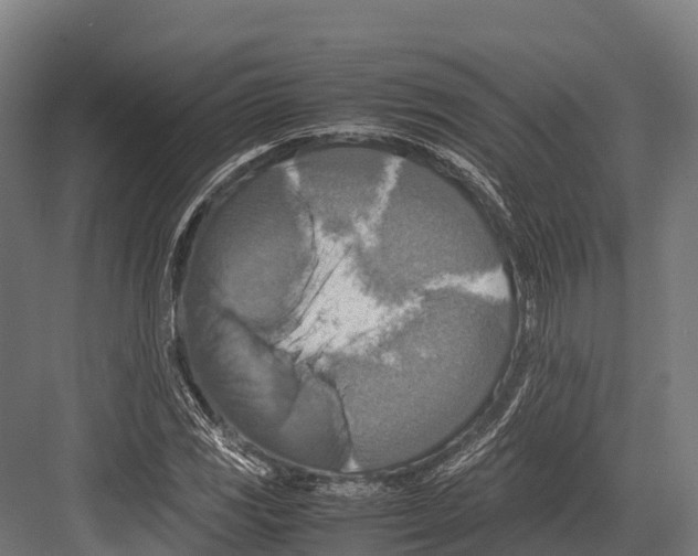 X0000081591117200702121507