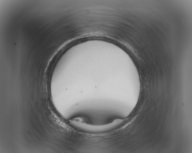 X0000081591118200702121507