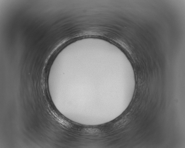 X0000081591119200702121507