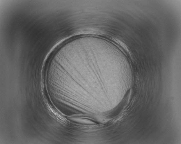 X0000081591120200702121507