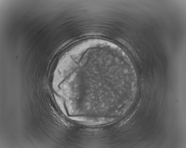 X0000081591121200702121507