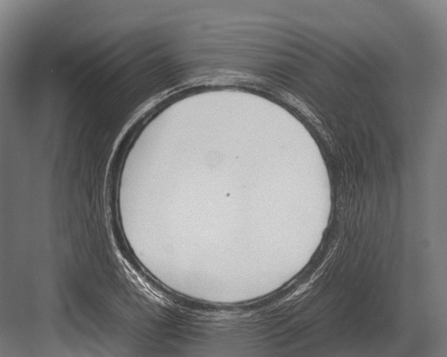 X0000081591122200702121507