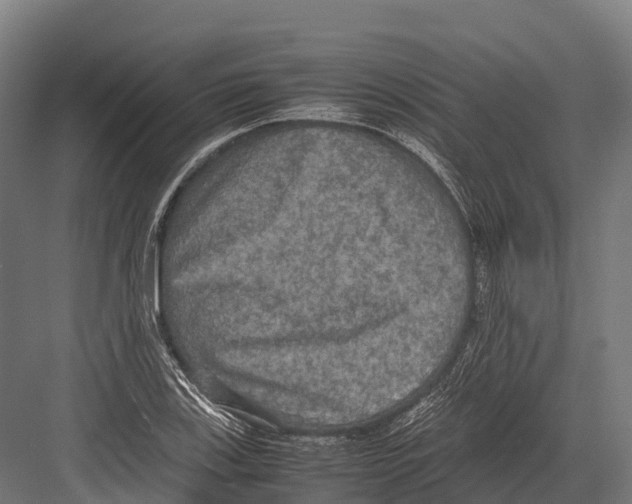 X0000081591123200702121507