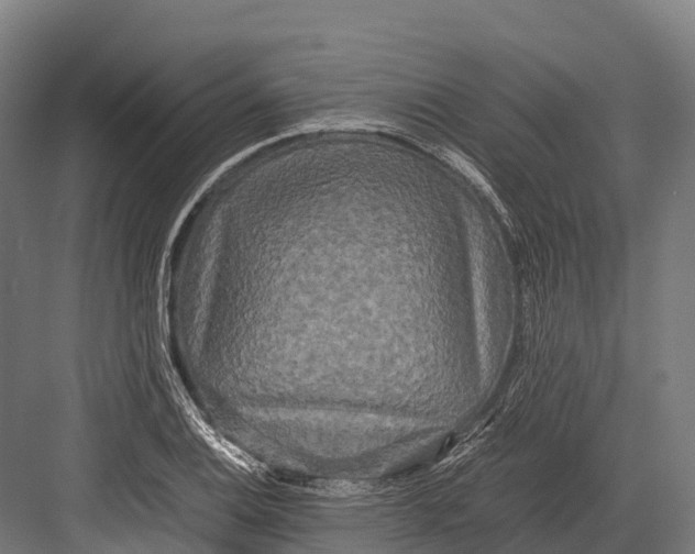 X0000081591124200702121507