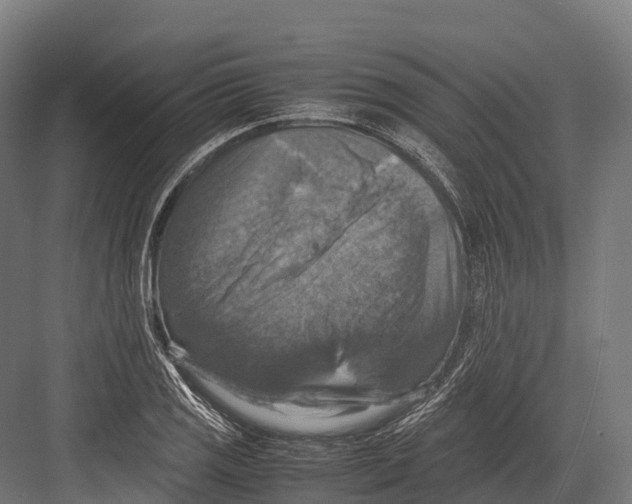 X0000081591125200702121507