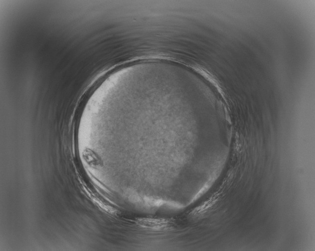 X0000081591127200702121507