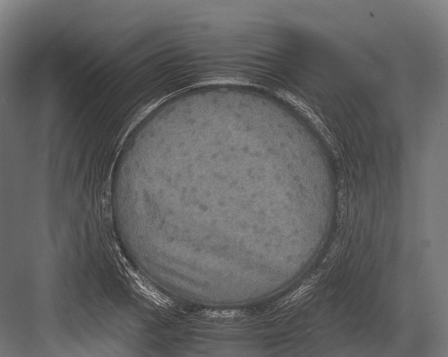 X0000081591129200702121507