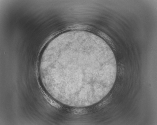 X0000081591130200702121507