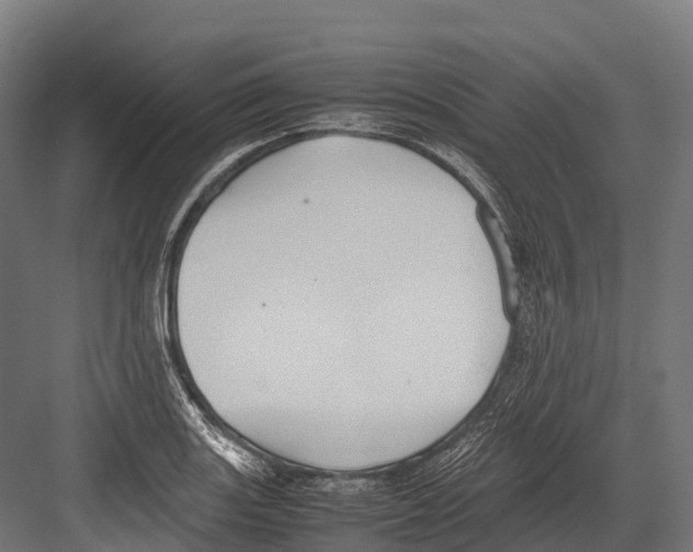 X0000081591131200702121507