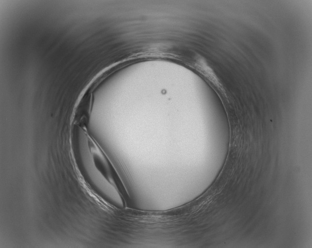 X0000081591132200702121507