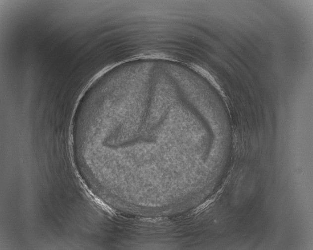 X0000081591133200702121507