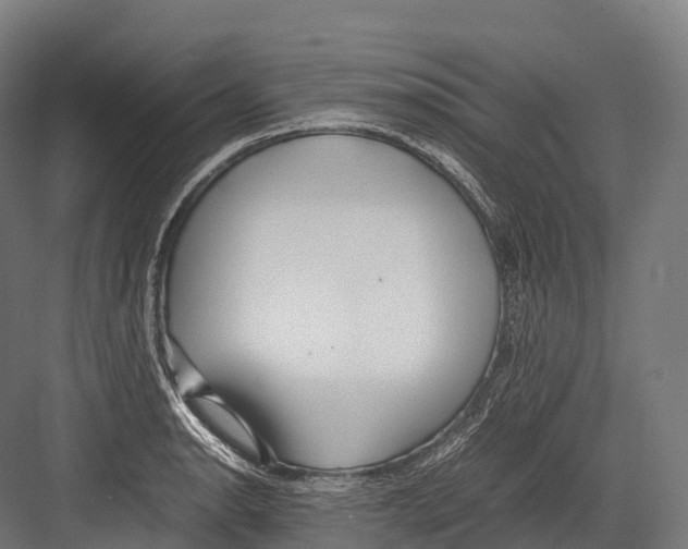 X0000081591134200702121507