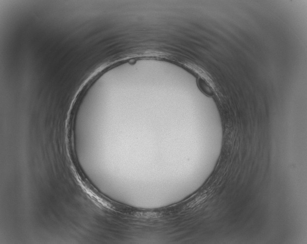 X0000081591135200702121507