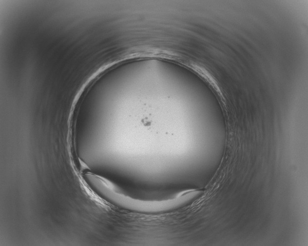 X0000081591136200702121507