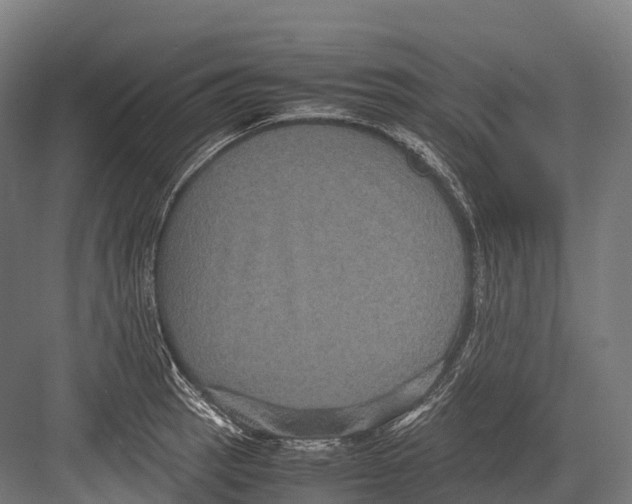 X0000081591137200702121507