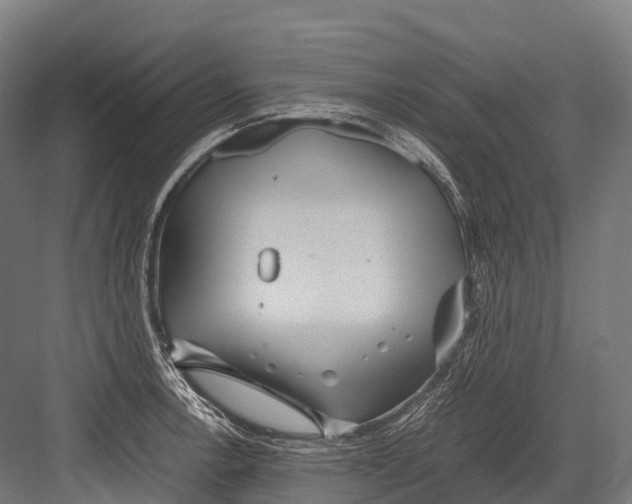 X0000081591138200702121507