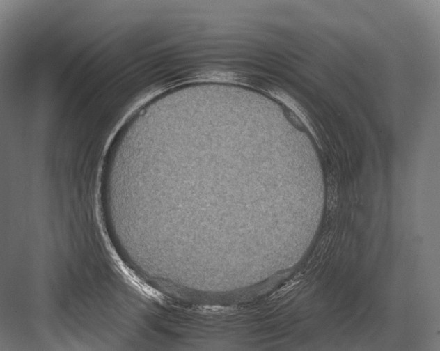 X0000081591139200702121507