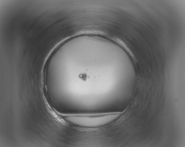 X0000081591140200702121507