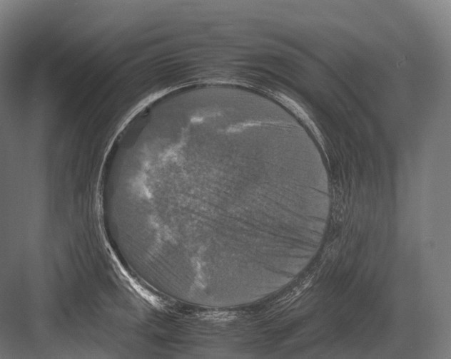 X0000081591141200702121507