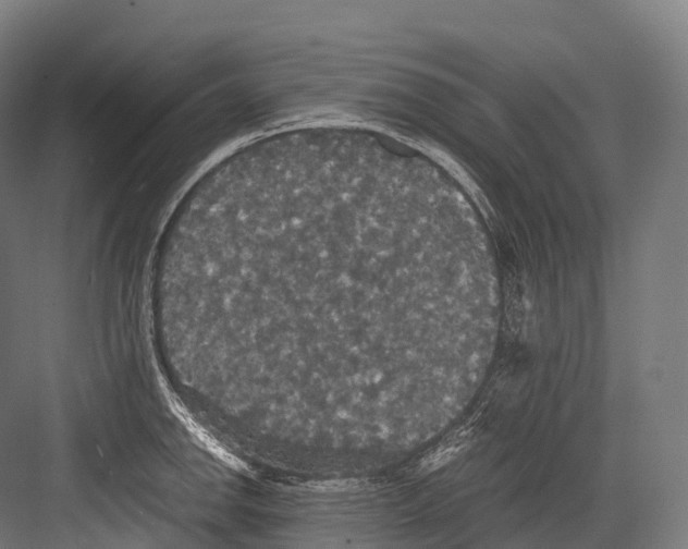 X0000081591142200702121507