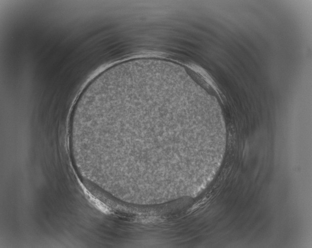 X0000081591143200702121507