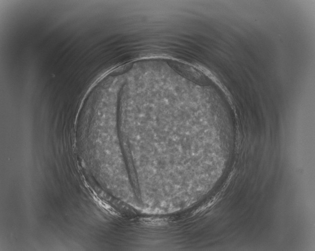 X0000081591145200702121507