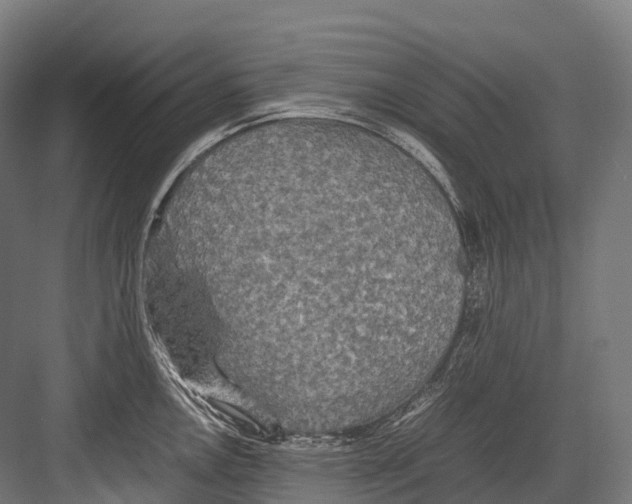 X0000081591146200702121507