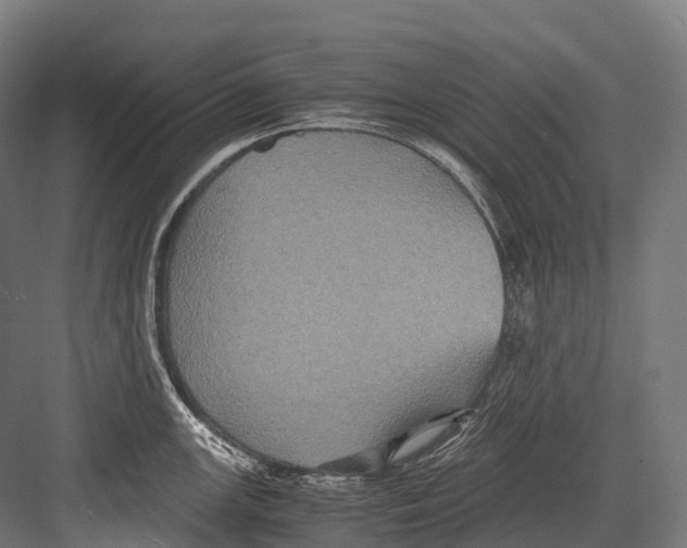 X0000081591147200702121507