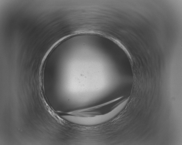 X0000081591148200702121507