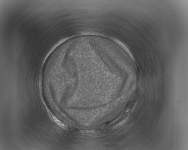 X0000081591149200702121507