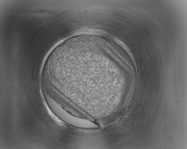 X0000081591152200702121507