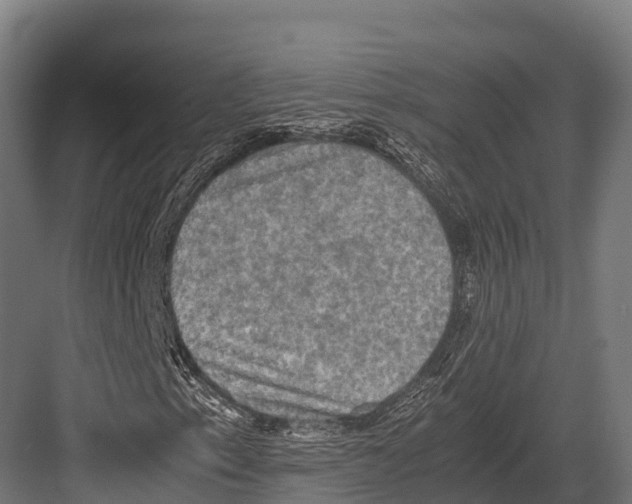 X0000081591153200702121506