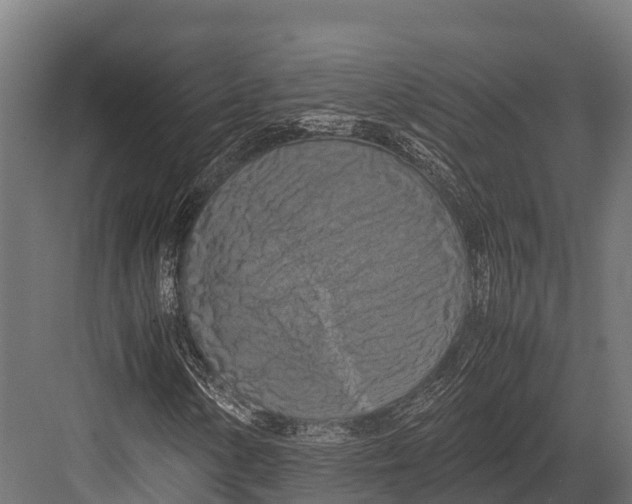 X0000081591154200702121506