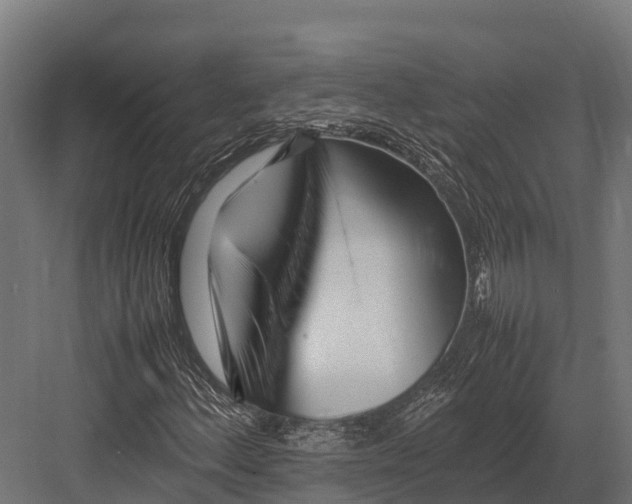 X0000081591156200702121506