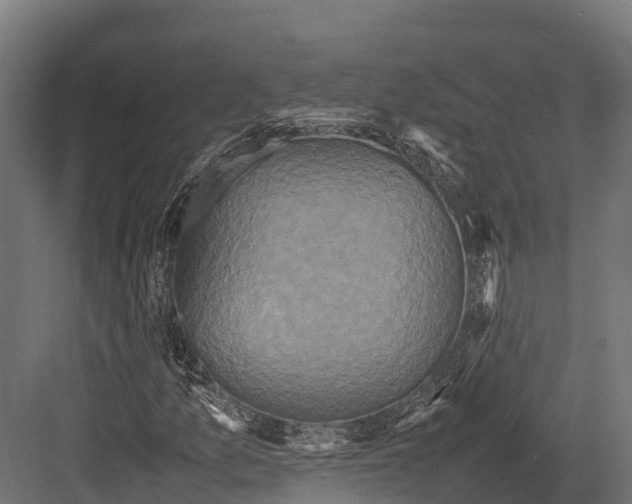 X0000081591157200702121506