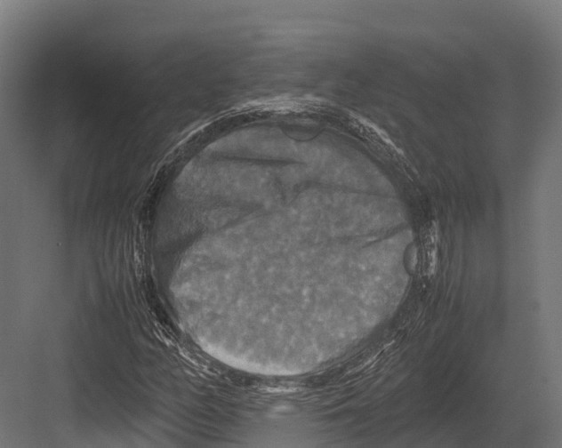 X0000081591158200702121506