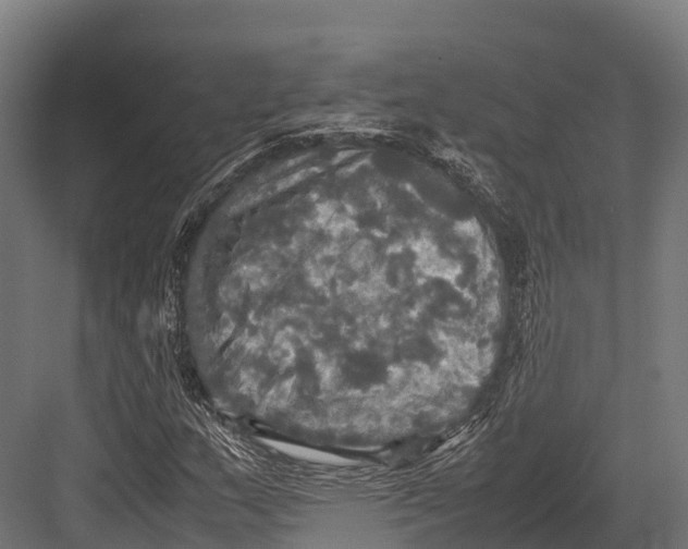 X0000081591159200702121506