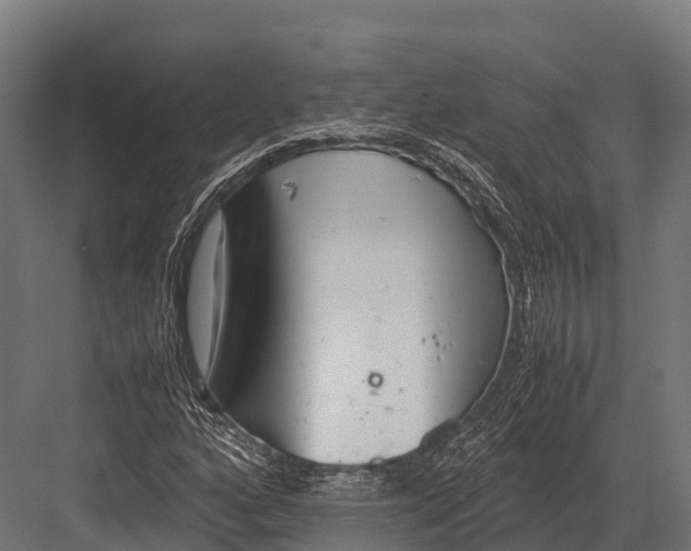 X0000081591160200702121506