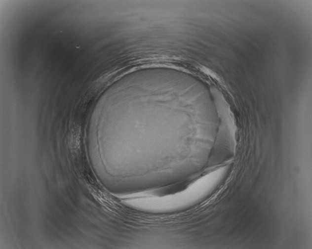 X0000081591161200702121506